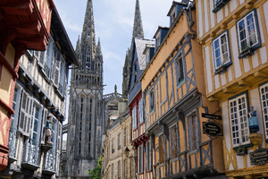 Lutte contre les nuisibles Quimper